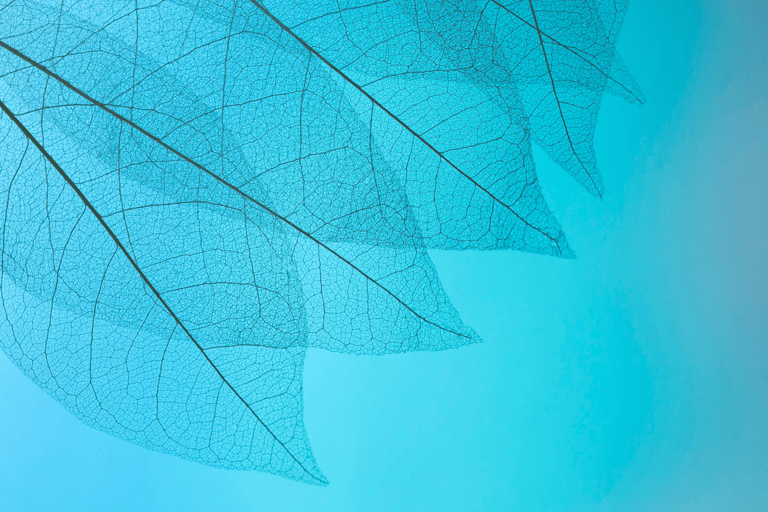 Commitments & Standards image