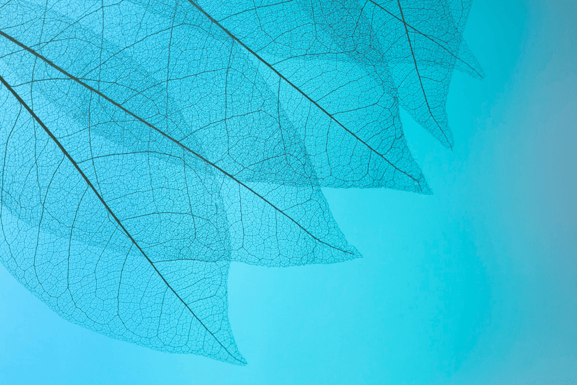 Commitments & Standards image