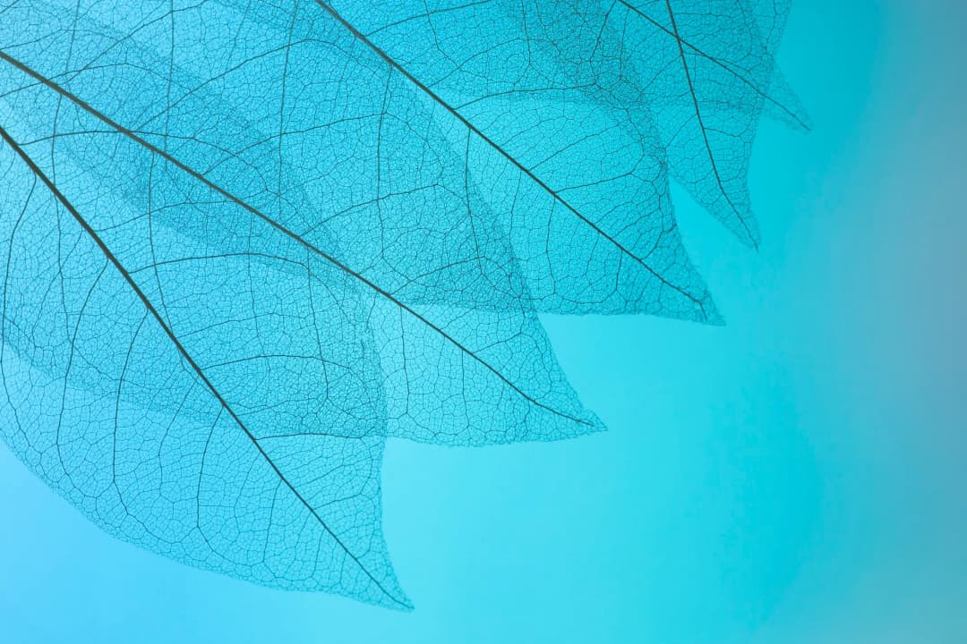 Commitments & Standards image