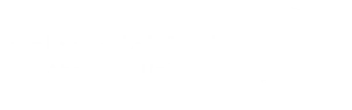 Malek Abdelaziz University