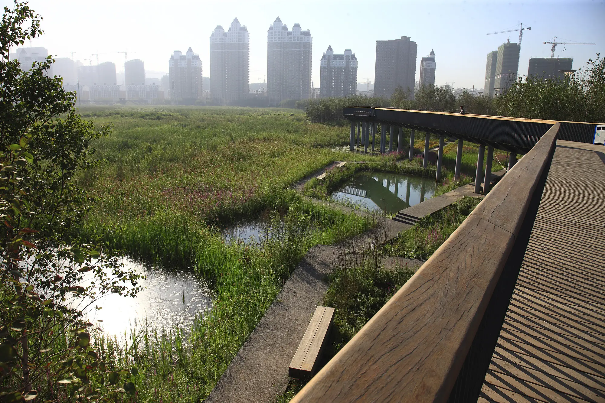 Water Stewardship & Nature-Based Solutions