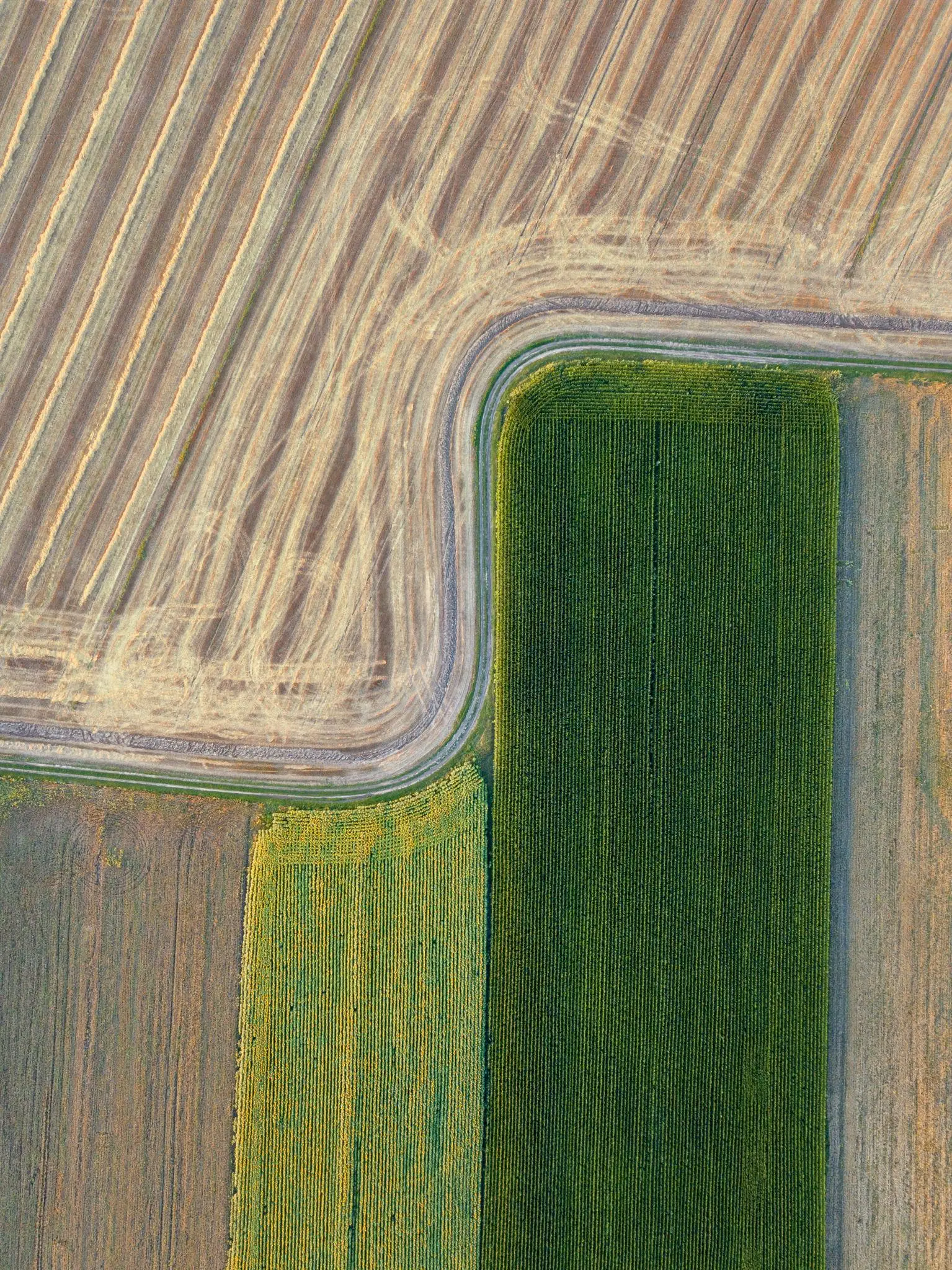 Smart Agriculture