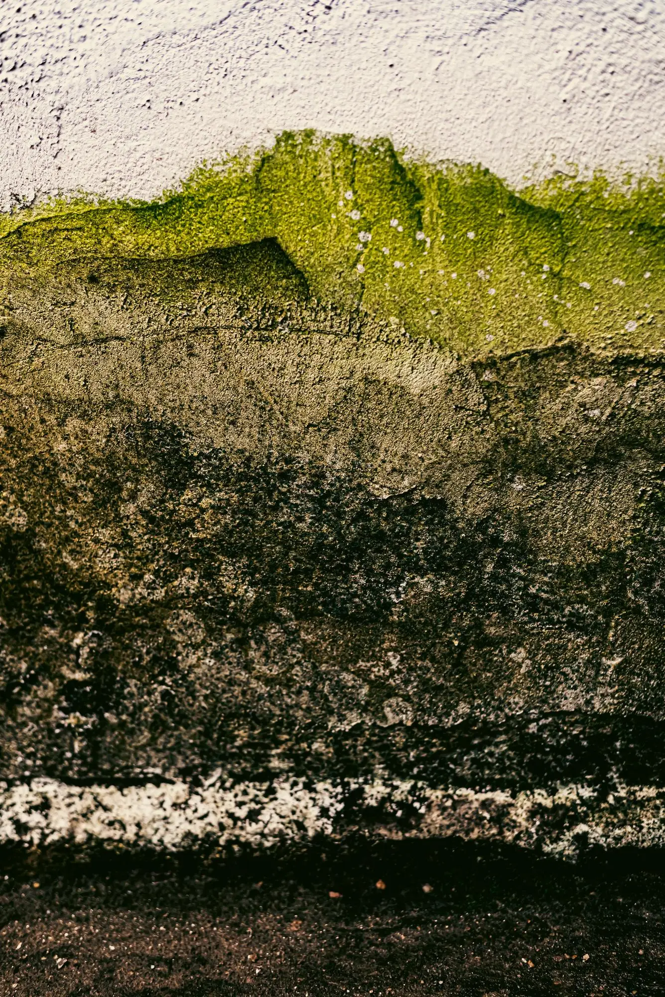 EVARA Earth Measurable sustainability, from compliance to lasting impact.
