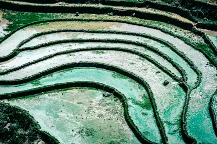 Global presence, local delivery Image